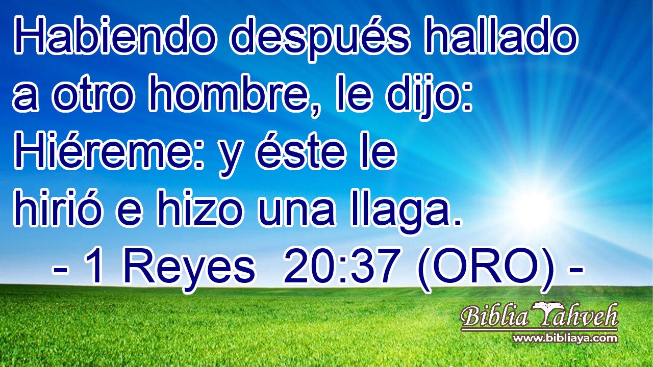  Habiendo después hallado a otro hombre, le dijo: Hiéreme: y éste le hirió e hizo una llaga. 