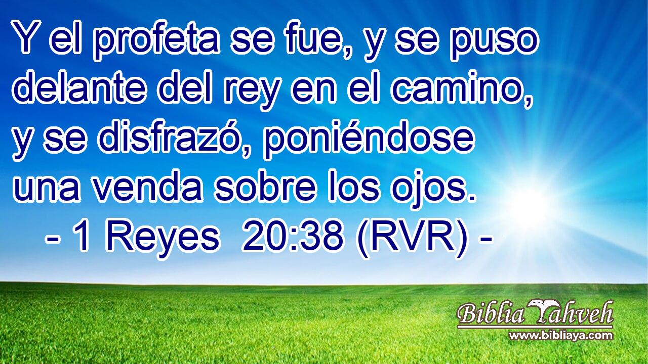 Y el profeta se fue, y se puso delante del rey en el camino, y se disfrazó, poniéndose una venda sobre los ojos.