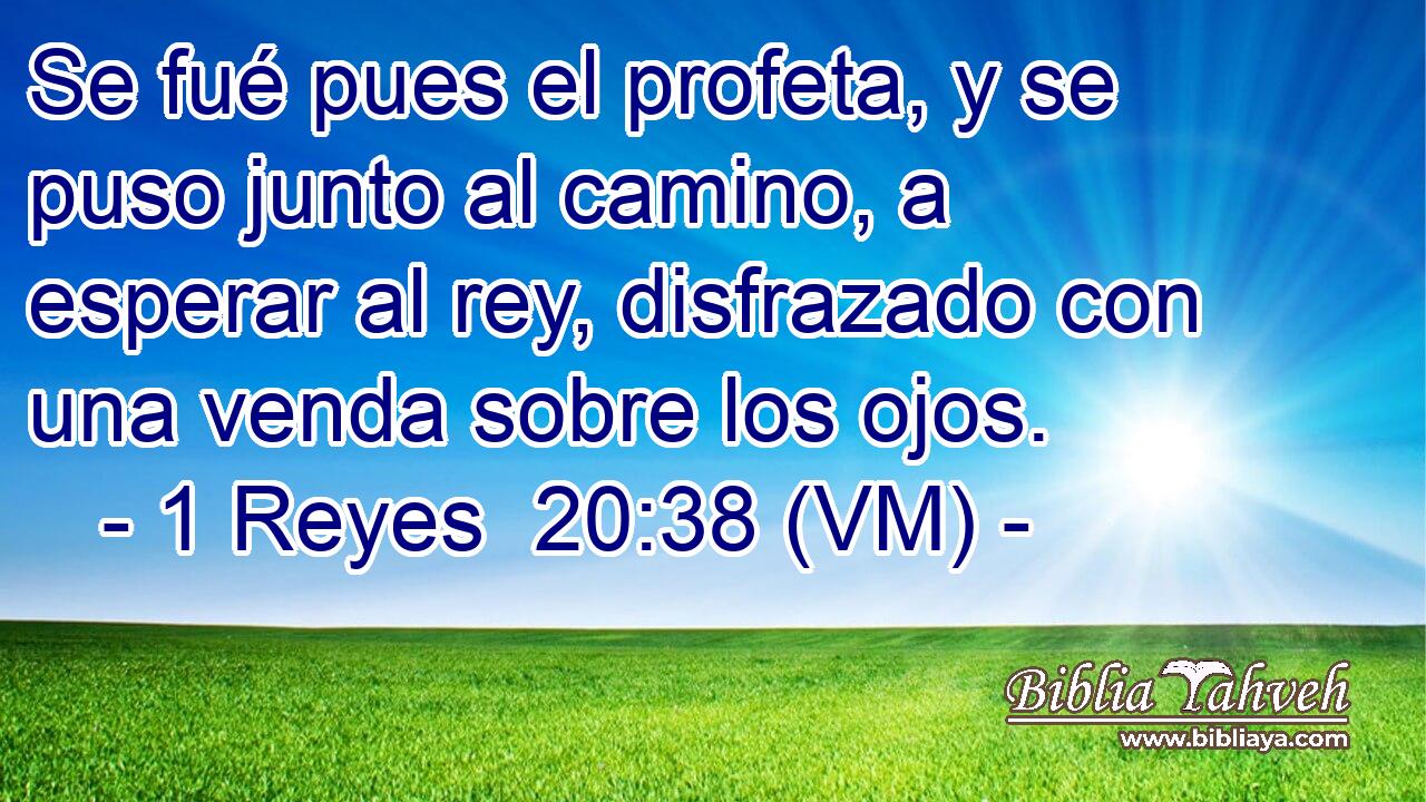  Se fué pues el profeta, y se puso junto al camino, a esperar al rey, disfrazado con una venda sobre los ojos. 