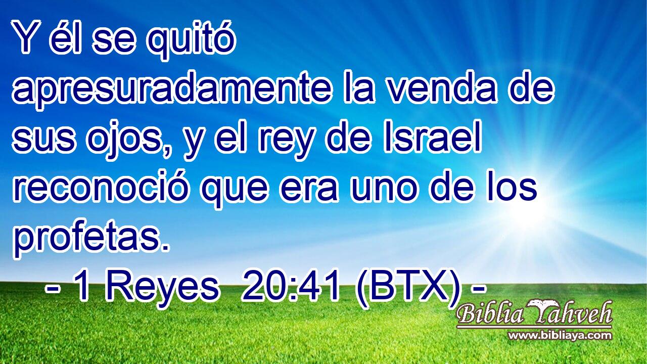 Y él se quitó apresuradamente la venda de sus ojos, y el rey de Israel reconoció que era uno de los profetas.
