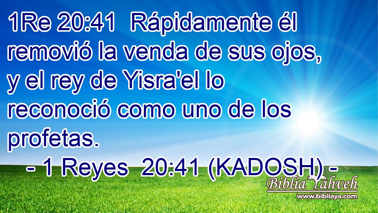  Rápidamente él removió la venda de sus ojos, y el rey de Yisra'el lo reconoció como uno de los profetas. 