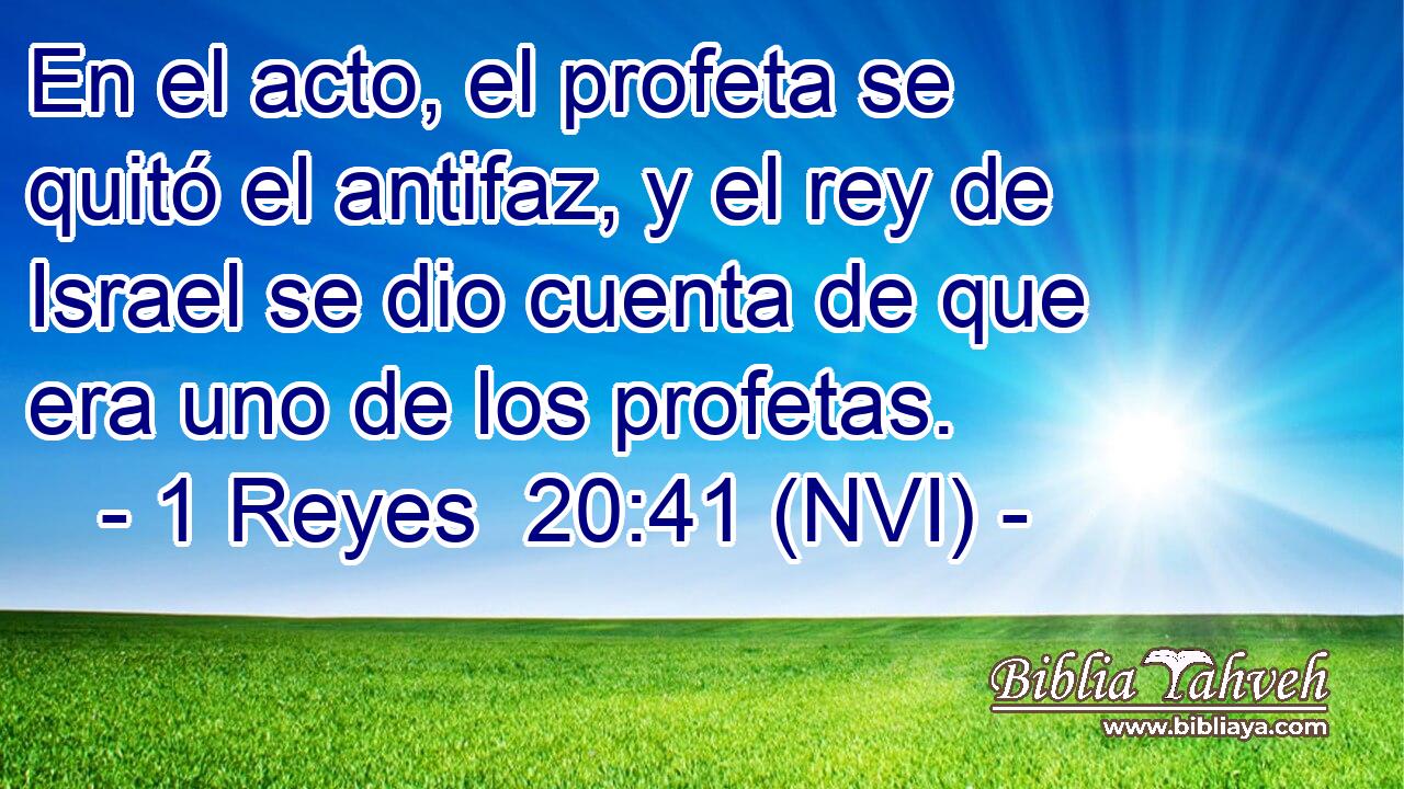  En el acto, el profeta se quitó el antifaz, y el rey de Israel se dio cuenta de que era uno de los profetas. 