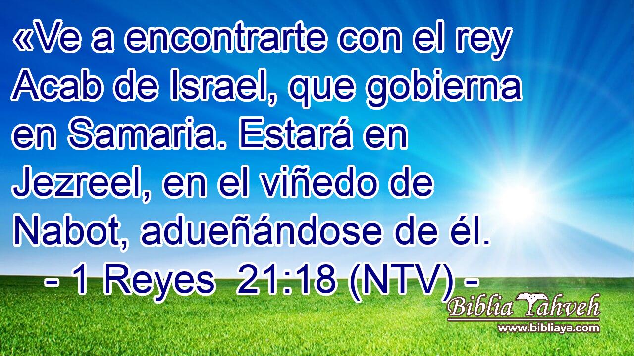 «Ve a encontrarte con el rey Acab de Israel, que gobierna en Samaria. Estará en Jezreel, en el viñedo de Nabot, adueñándose de él.