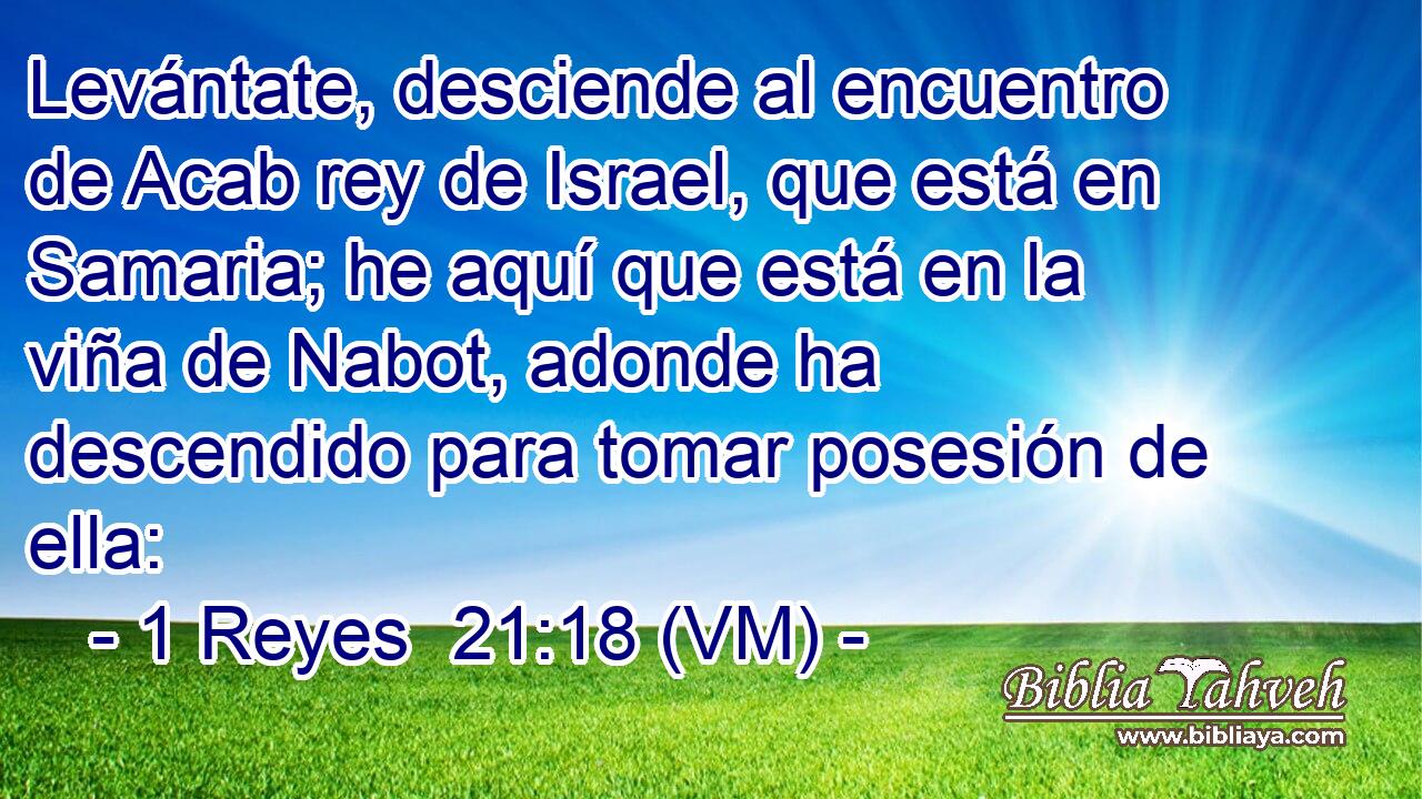  Levántate, desciende al encuentro de Acab rey de Israel, que está en Samaria; he aquí que está en la viña de Nabot, adonde ha descendido para tomar posesión de ella: 