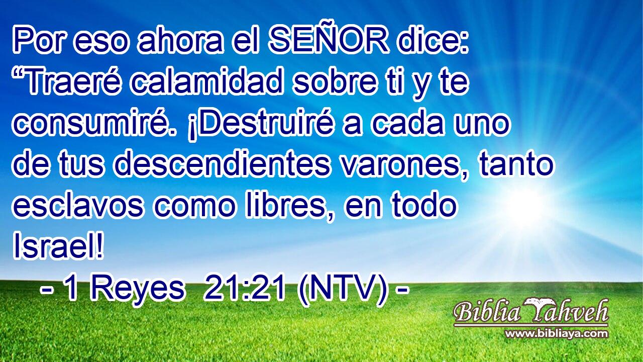 Por eso ahora el SEÑOR dice: “Traeré calamidad sobre ti y te consumiré. ¡Destruiré a cada uno de tus descendientes varones, tanto esclavos como libres, en todo Israel!