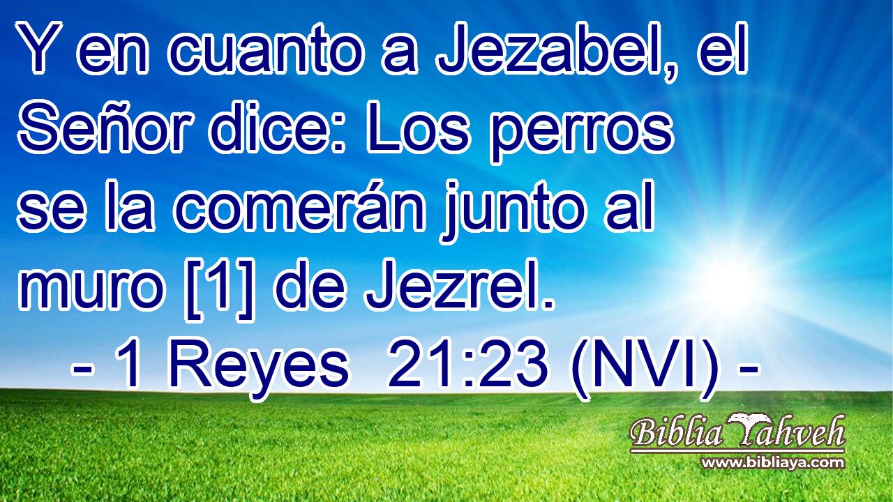  Y en cuanto a Jezabel, el Señor dice: Los perros se la comerán junto al muro [1] de Jezrel. 