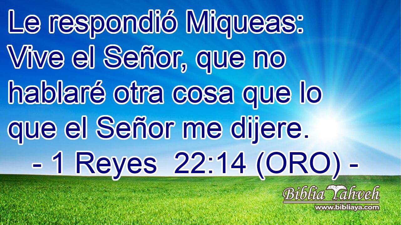  Le respondió Miqueas: Vive el Señor, que no hablaré otra cosa que lo que el Señor me dijere. 