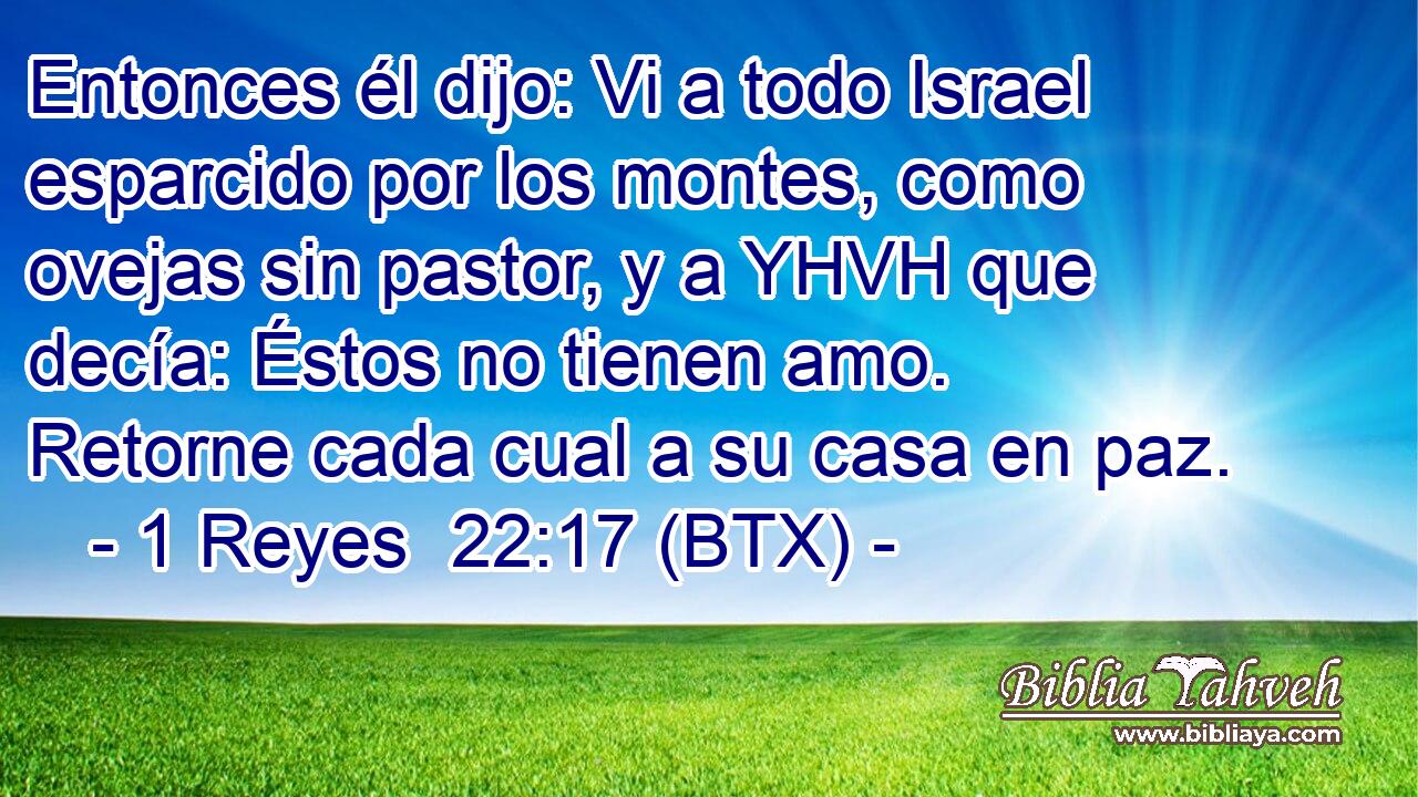 Entonces él dijo: Vi a todo Israel esparcido por los montes, como ovejas sin pastor, y a YHVH que decía: Éstos no tienen amo. Retorne cada cual a su casa en paz.