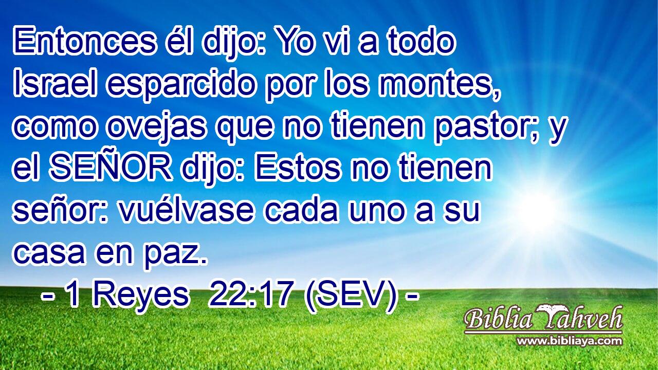 Entonces él dijo: Yo vi a todo Israel esparcido por los montes, como ovejas que no tienen pastor; y el SEÑOR dijo: Estos no tienen señor: vuélvase cada uno a su casa en paz.