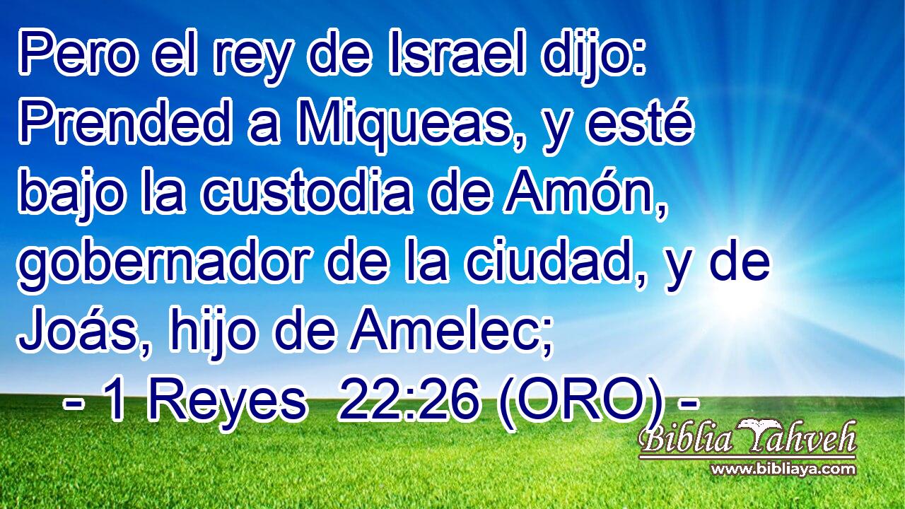  Pero el rey de Israel dijo: Prended a Miqueas, y esté bajo la custodia de Amón, gobernador de la ciudad, y de Joás, hijo de Amelec; 