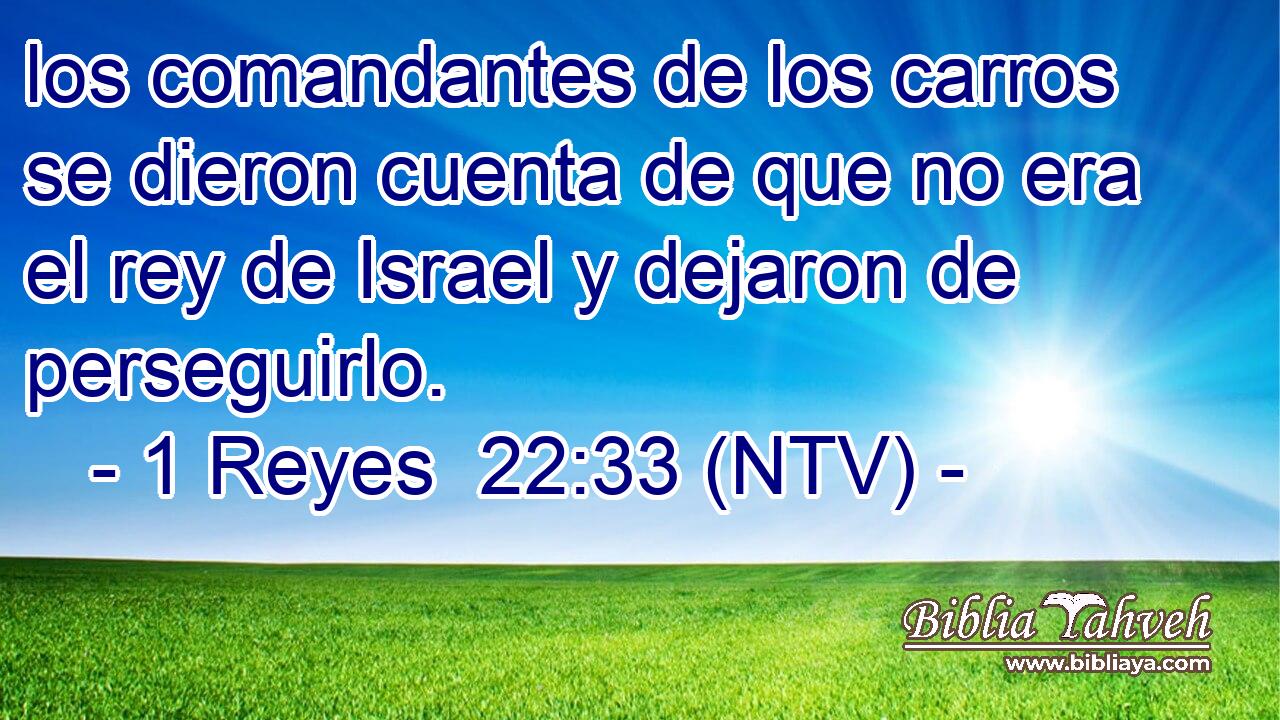 los comandantes de los carros se dieron cuenta de que no era el rey de Israel y dejaron de perseguirlo.