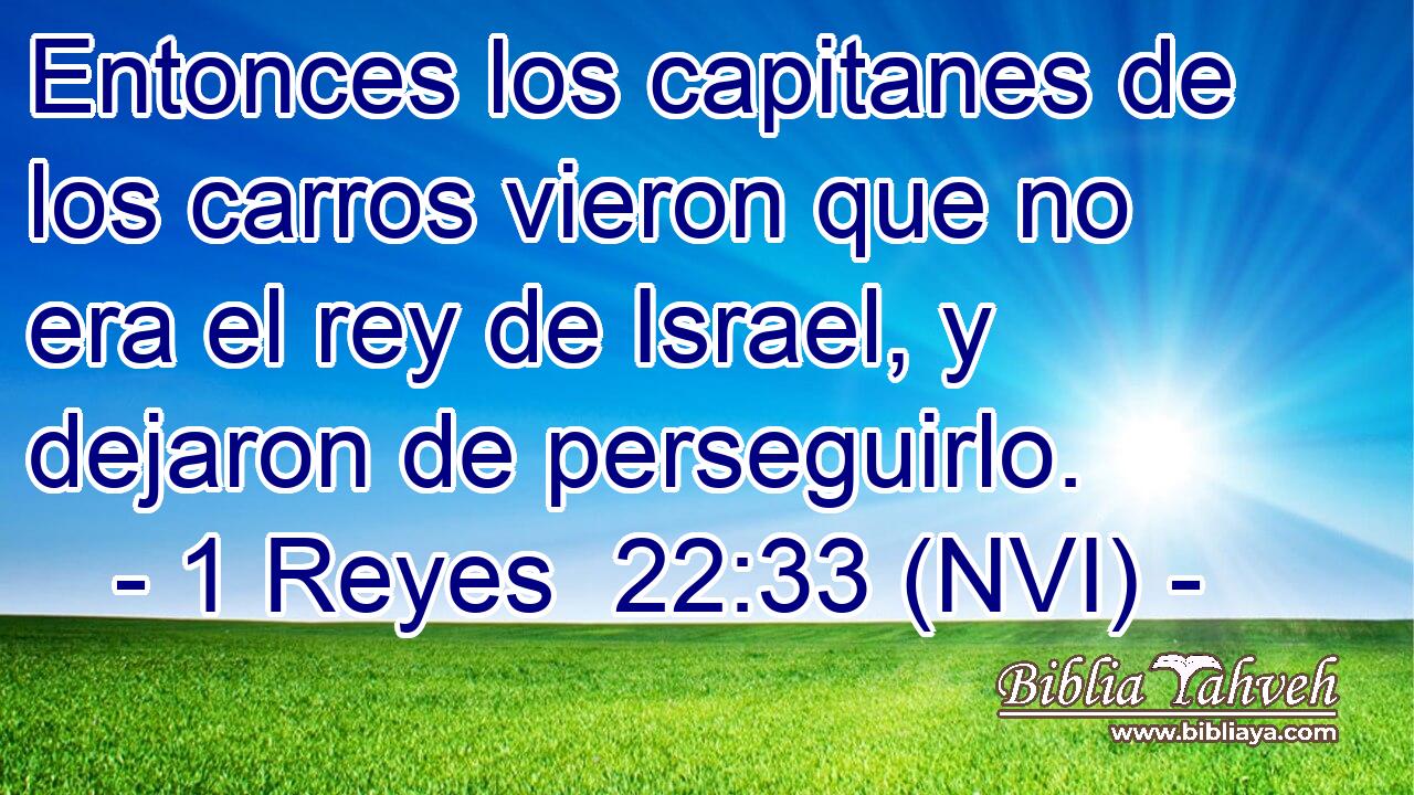  Entonces los capitanes de los carros vieron que no era el rey de Israel, y dejaron de perseguirlo. 
