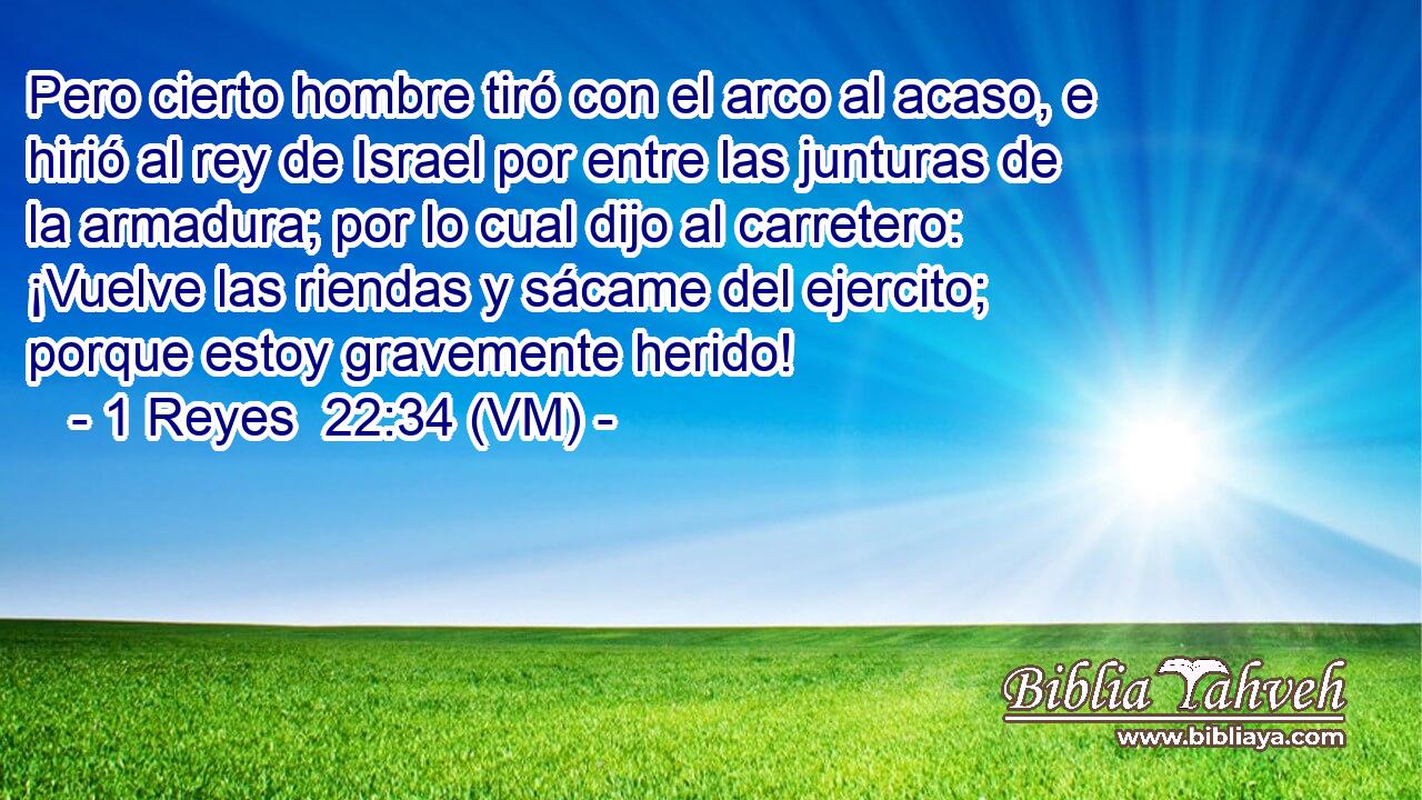  Pero cierto hombre tiró con el arco al acaso, e hirió al rey de Israel por entre las junturas de la armadura; por lo cual dijo al carretero: ¡Vuelve las riendas y sácame del ejercito; porque estoy gravemente herido! 