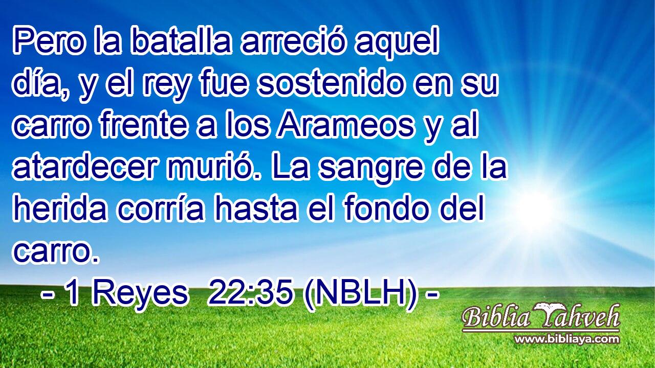  Pero la batalla arreció aquel día, y el rey fue sostenido en su carro frente a los Arameos y al atardecer murió. La sangre de la herida corría hasta el fondo del carro. 