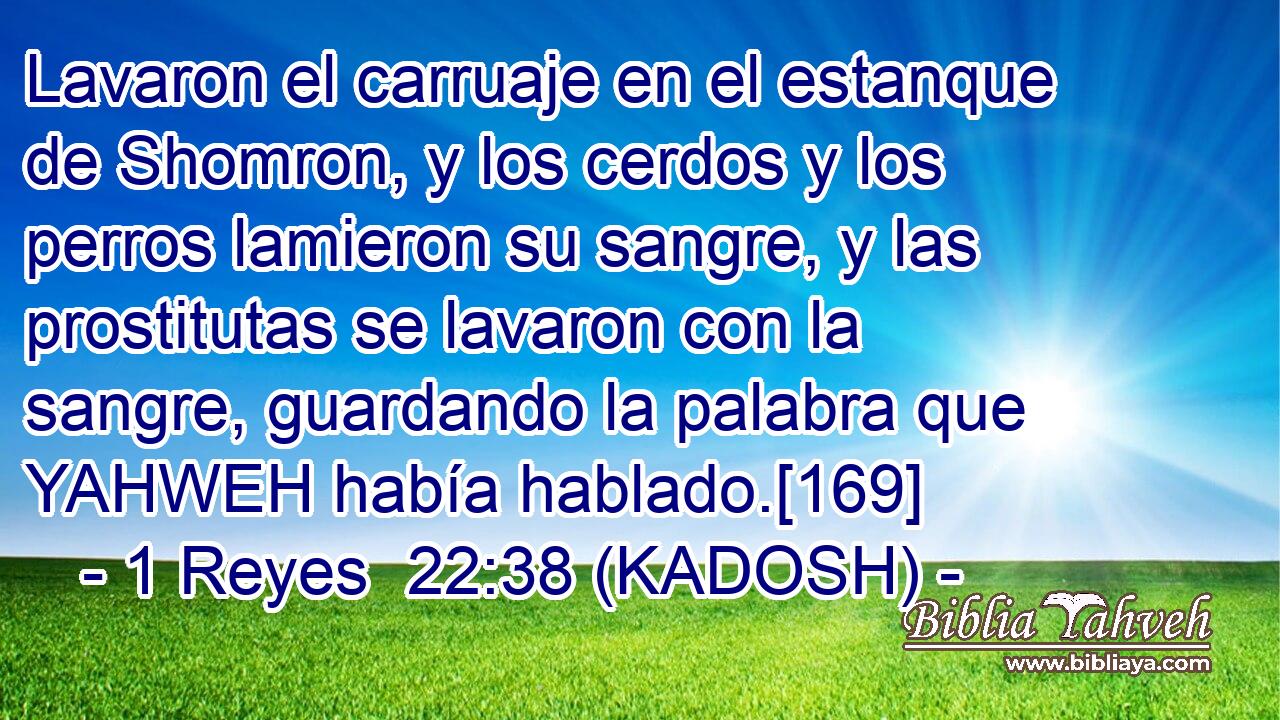  Lavaron el carruaje en el estanque de Shomron, y los cerdos y los perros lamieron su sangre, y las prostitutas se lavaron con la sangre, guardando la palabra que YAHWEH había hablado.[169] 