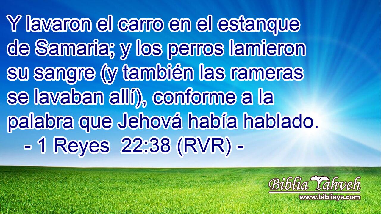 Y lavaron el carro en el estanque de Samaria; y los perros lamieron su sangre (y también las rameras se lavaban allí), conforme a la palabra que Jehová había hablado.