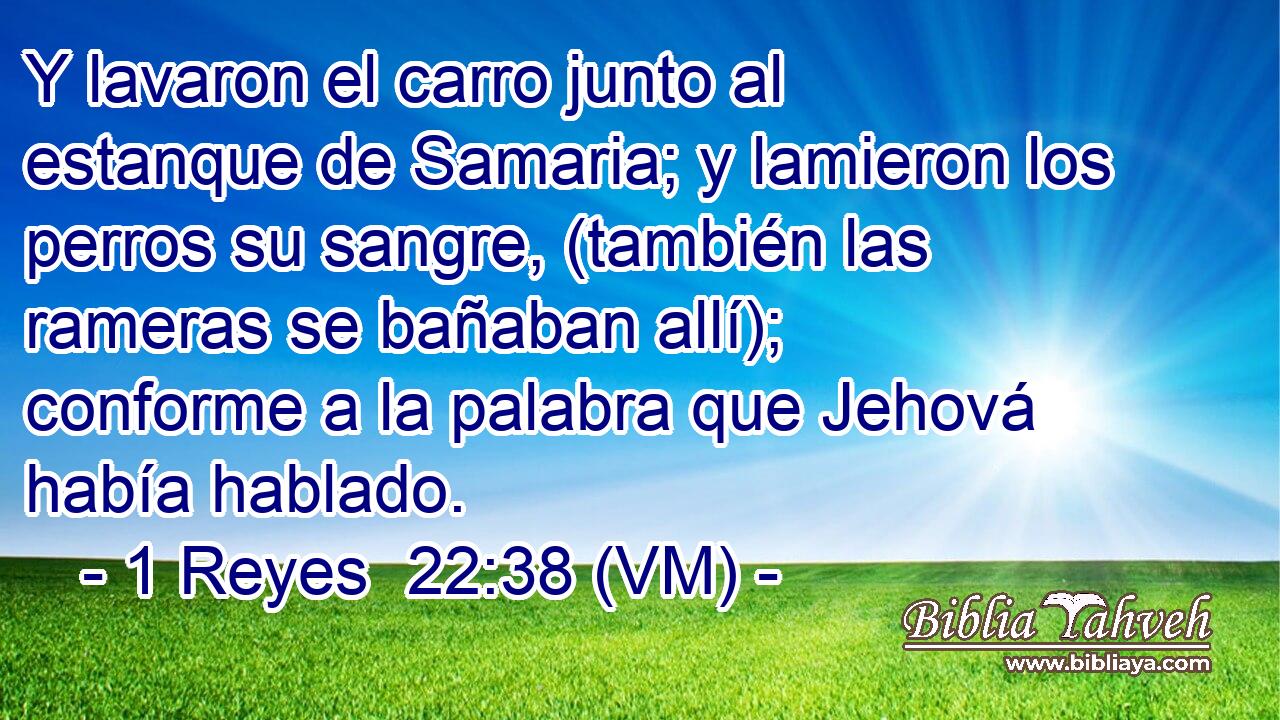  Y lavaron el carro junto al estanque de Samaria; y lamieron los perros su sangre, (también las rameras se bañaban allí); conforme a la palabra que Jehová había hablado. 