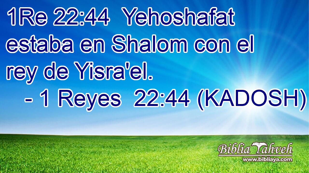  Yehoshafat estaba en Shalom con el rey de Yisra'el. 