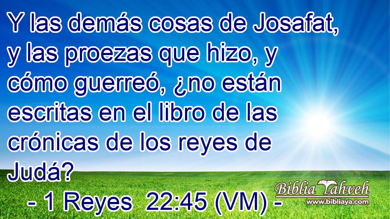  Y las demás cosas de Josafat, y las proezas que hizo, y cómo guerreó, ¿no están escritas en el libro de las crónicas de los reyes de Judá? 