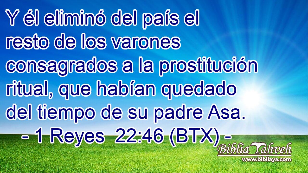 Y él eliminó del país el resto de los varones consagrados a la prostitución ritual, que habían quedado del tiempo de su padre Asa.