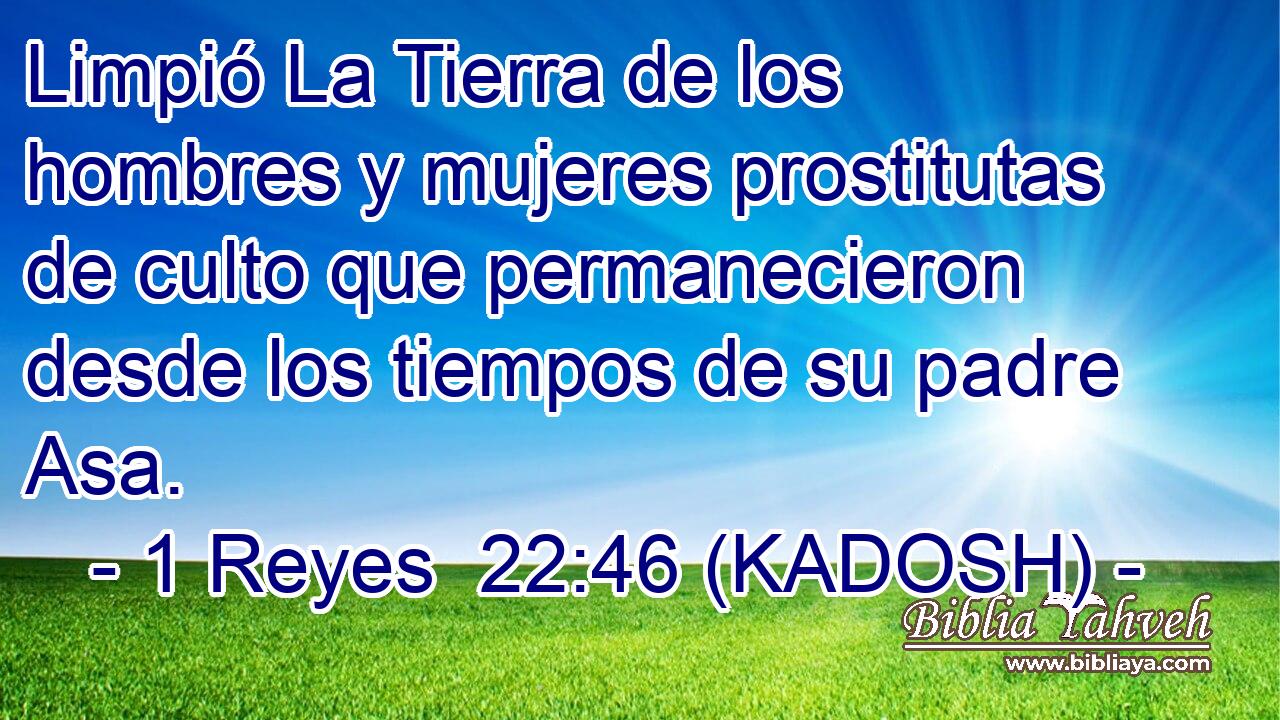  Limpió La Tierra de los hombres y mujeres prostitutas de culto que permanecieron desde los tiempos de su padre Asa. 