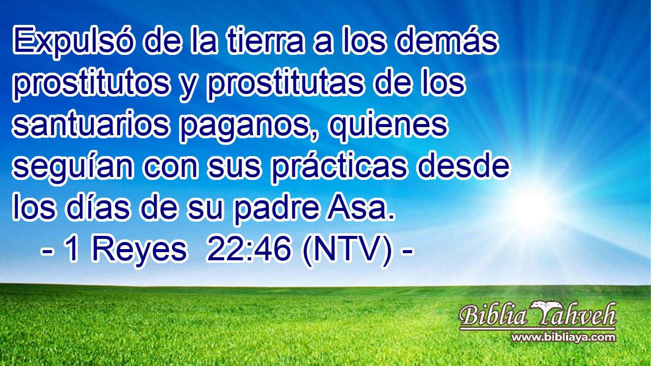 Expulsó de la tierra a los demás prostitutos y prostitutas de los santuarios paganos, quienes seguían con sus prácticas desde los días de su padre Asa.