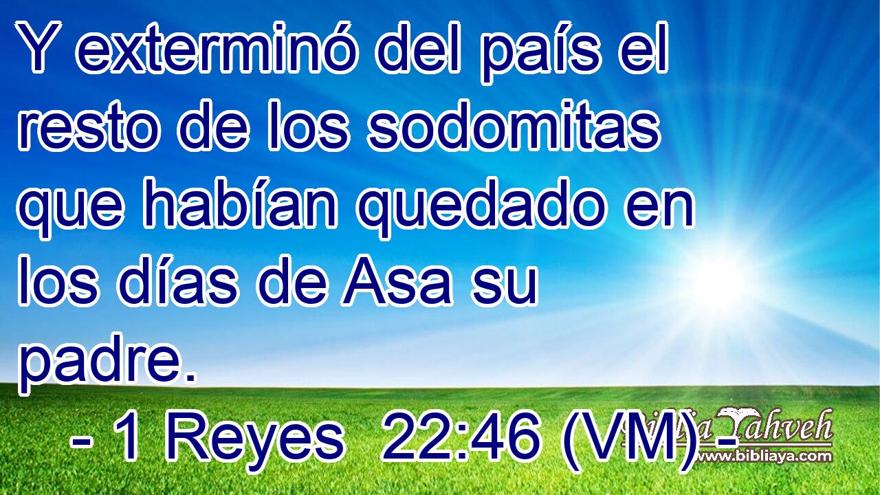  Y exterminó del país el resto de los sodomitas que habían quedado en los días de Asa su padre. 