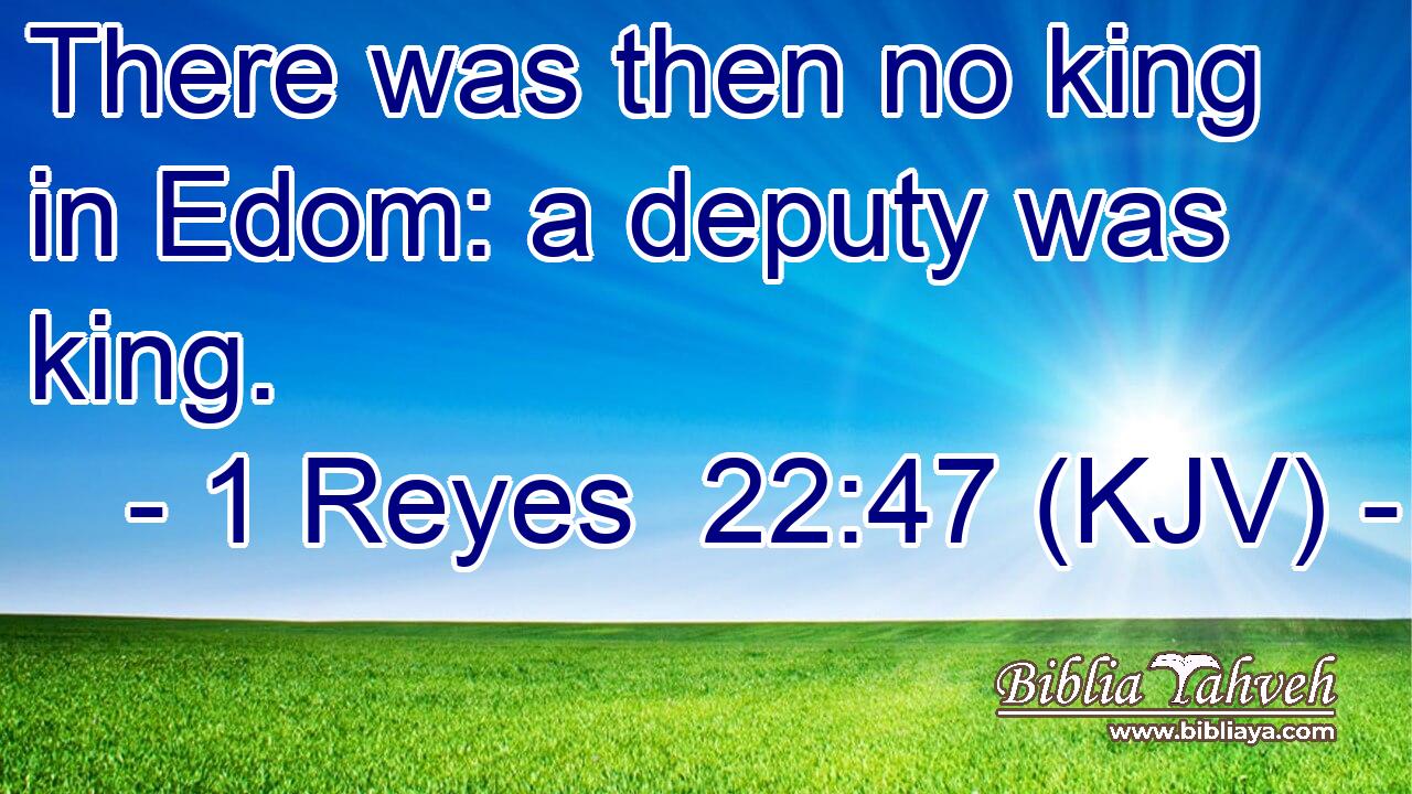 There was then no king in Edom: a deputy was king.