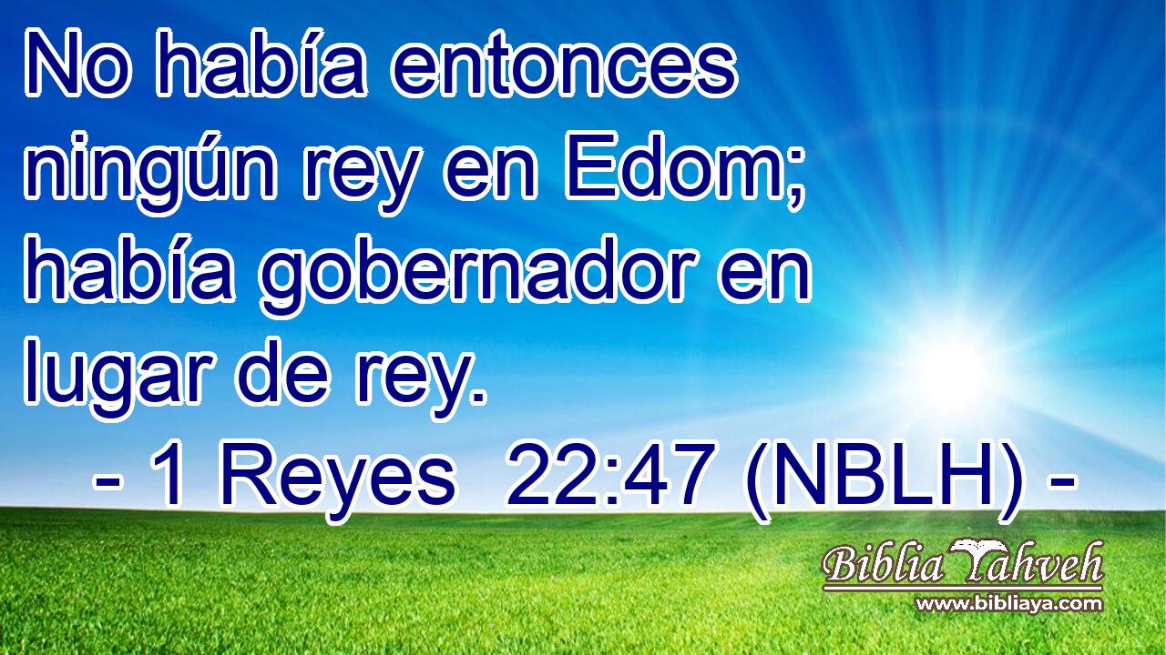  No había entonces ningún rey en Edom; había gobernador en lugar de rey. 