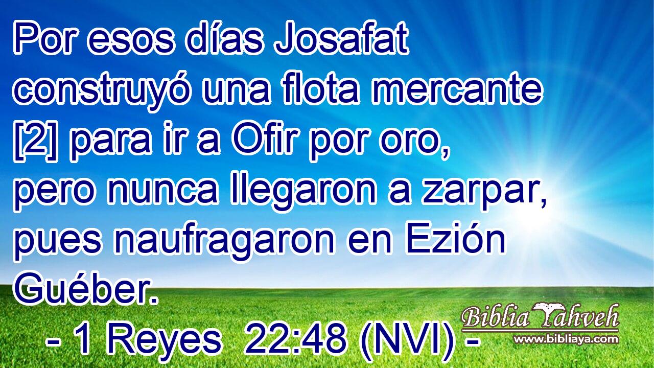  Por esos días Josafat construyó una flota mercante [2] para ir a Ofir por oro, pero nunca llegaron a zarpar, pues naufragaron en Ezión Guéber. 