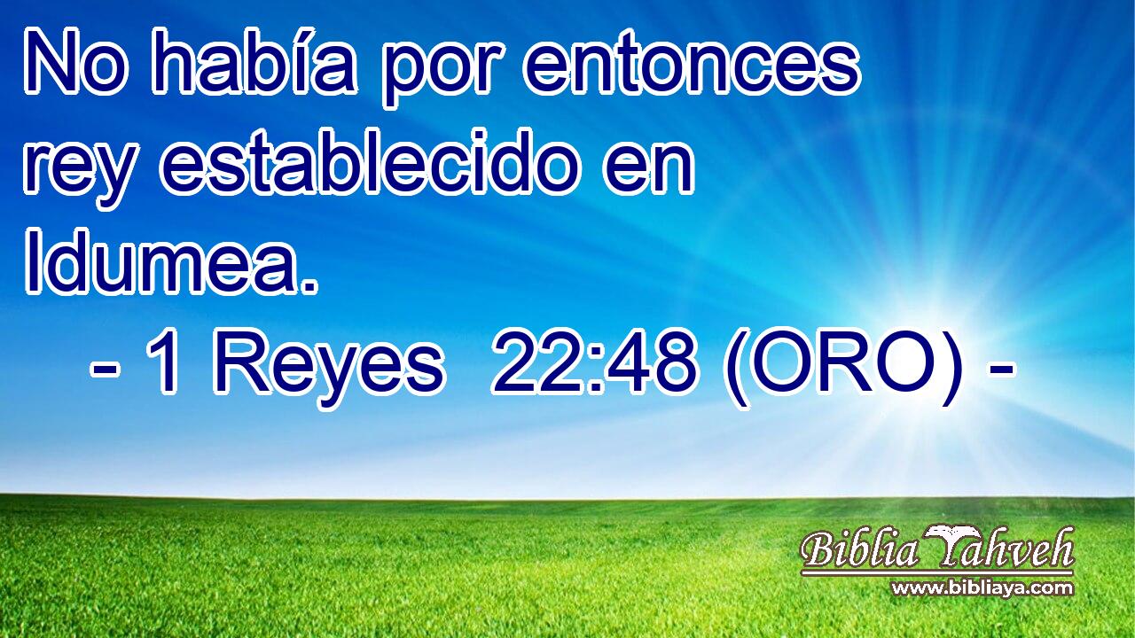  No había por entonces rey establecido en Idumea. 