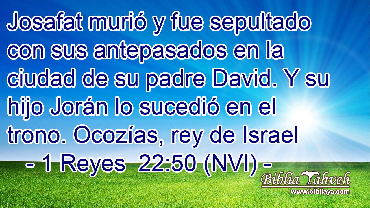  Josafat murió y fue sepultado con sus antepasados en la ciudad de su padre David. Y su hijo Jorán lo sucedió en el trono. Ocozías, rey de Israel 
