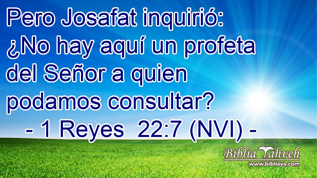  Pero Josafat inquirió: ¿No hay aquí un profeta del Señor a quien podamos consultar? 