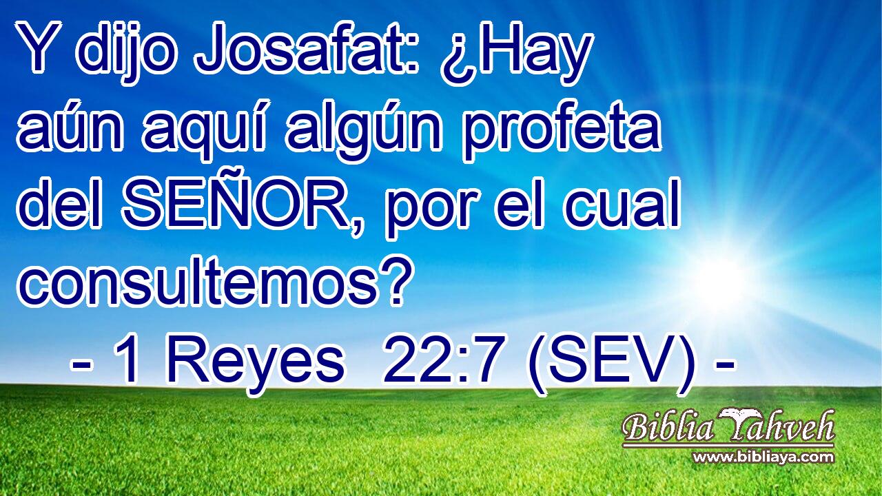 Y dijo Josafat: ¿Hay aún aquí algún profeta del SEÑOR, por el cual consultemos?