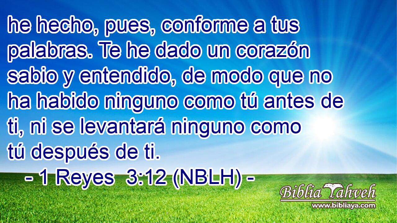  he hecho, pues, conforme a tus palabras. Te he dado un corazón sabio y entendido, de modo que no ha habido ninguno como tú antes de ti, ni se levantará ninguno como tú después de ti. 