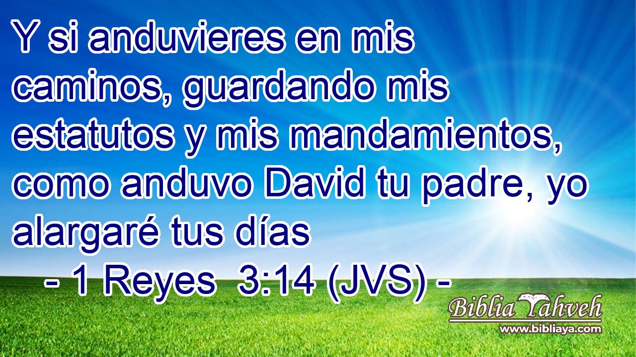 Y si anduvieres en mis caminos, guardando mis estatutos y mis mandamientos, como anduvo David tu padre, yo alargaré tus días