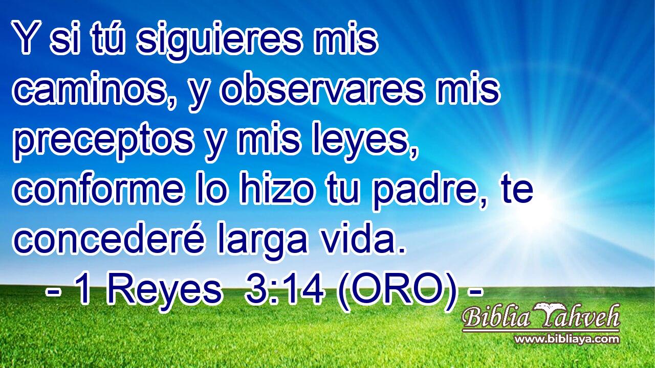  Y si tú siguieres mis caminos, y observares mis preceptos y mis leyes, conforme lo hizo tu padre, te concederé larga vida. 