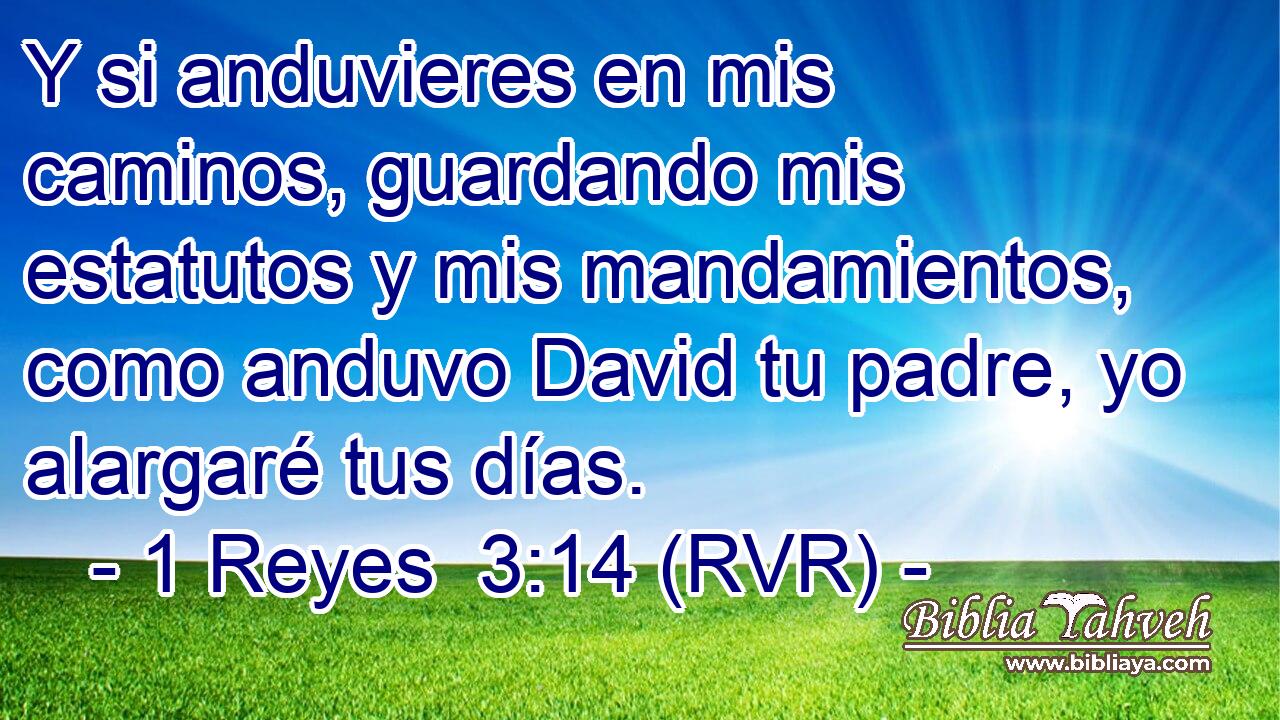 Y si anduvieres en mis caminos, guardando mis estatutos y mis mandamientos, como anduvo David tu padre, yo alargaré tus días.