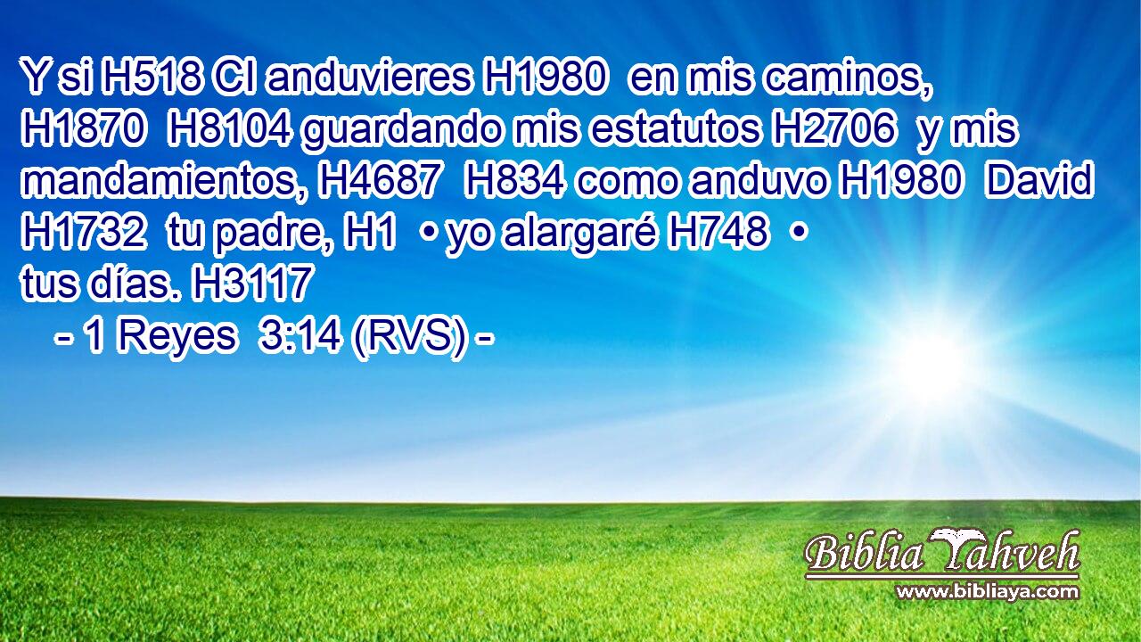 Y si H518 CI anduvieres H1980  en mis caminos, H1870  H8104 guardando mis estatutos H2706  y mis mandamientos, H4687  H834 como anduvo H1980  David H1732  tu padre, H1  • yo alargaré H748  • tus días. H3117  