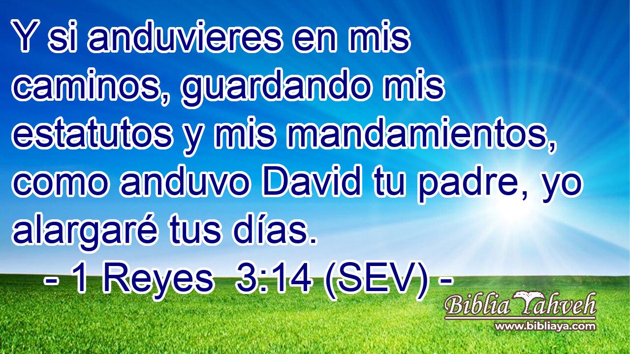 Y si anduvieres en mis caminos, guardando mis estatutos y mis mandamientos, como anduvo David tu padre, yo alargaré tus días.