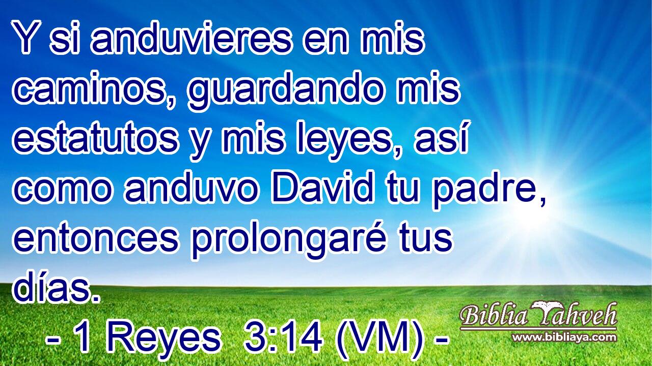  Y si anduvieres en mis caminos, guardando mis estatutos y mis leyes, así como anduvo David tu padre, entonces prolongaré tus días. 