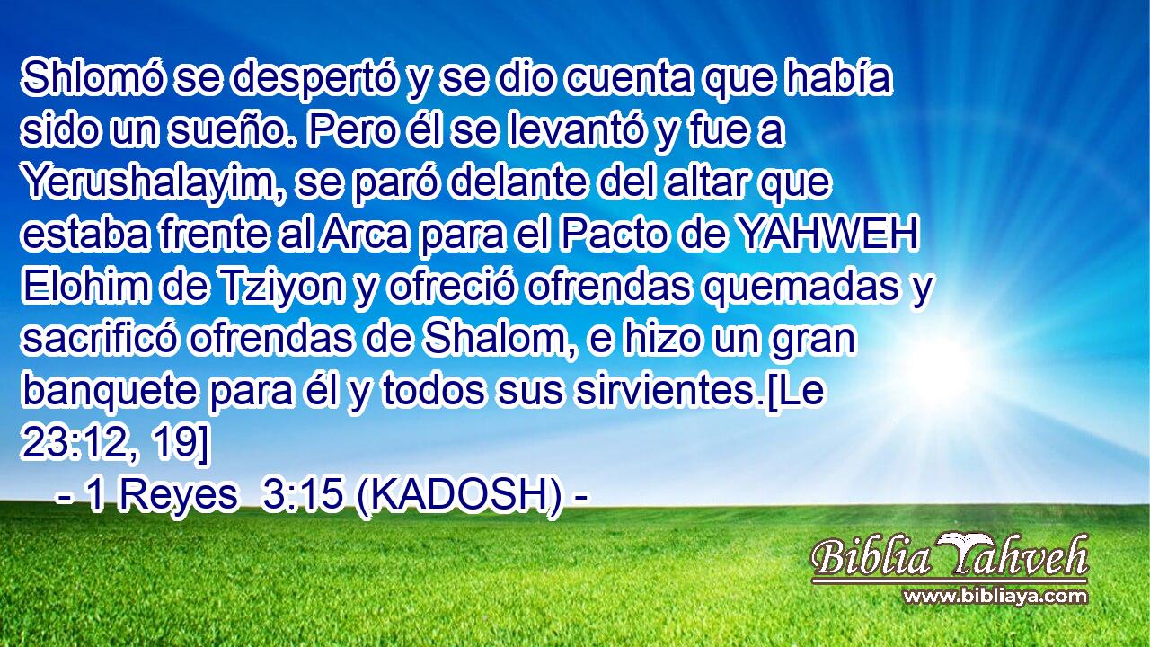  Shlomó se despertó y se dio cuenta que había sido un sueño. Pero él se levantó y fue a Yerushalayim, se paró delante del altar que estaba frente al Arca para el Pacto de YAHWEH Elohim de Tziyon y ofreció ofrendas quemadas y sacrificó ofrendas de Shalom, e hizo un gran banquete para él y todos sus sirvientes.[Le 23:12, 19] 