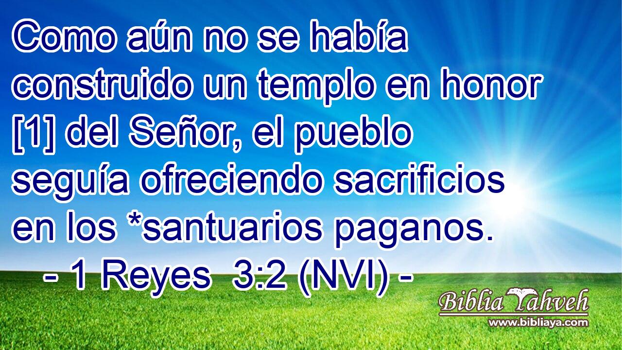  Como aún no se había construido un templo en honor [1] del Señor, el pueblo seguía ofreciendo sacrificios en los *santuarios paganos. 