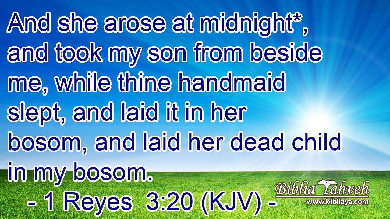 And she arose at midnight*, and took my son from beside me, while thine handmaid slept, and laid it in her bosom, and laid her dead child in my bosom.