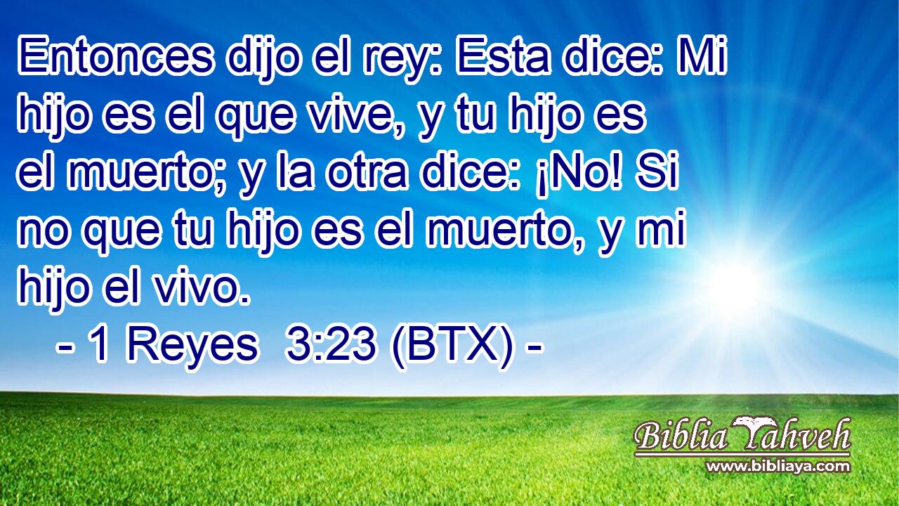 Entonces dijo el rey: Esta dice: Mi hijo es el que vive, y tu hijo es el muerto; y la otra dice: ¡No! Si no que tu hijo es el muerto, y mi hijo el vivo.