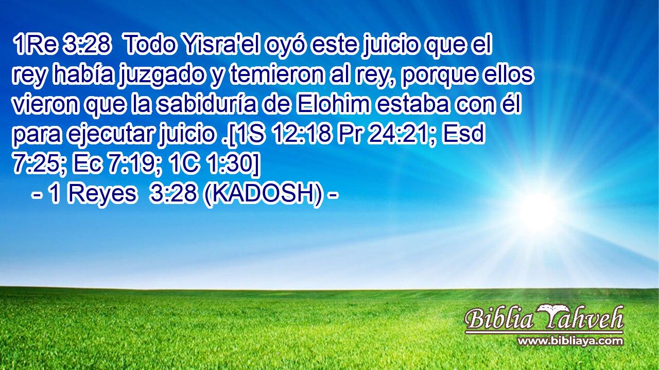  Todo Yisra'el oyó este juicio que el rey había juzgado y temieron al rey, porque ellos vieron que la sabiduría de Elohim estaba con él para ejecutar juicio .[1S 12:18 Pr 24:21; Esd 7:25; Ec 7:19; 1C 1:30] 