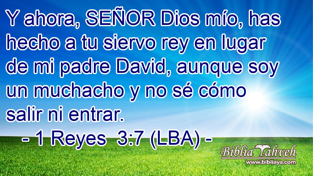Y ahora, SEÑOR Dios mío, has hecho a tu siervo rey en lugar de mi padre David, aunque soy un muchacho y no sé cómo salir ni entrar.