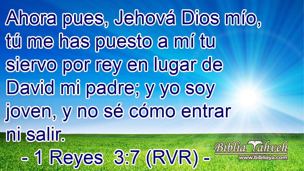 Ahora pues, Jehová Dios mío, tú me has puesto a mí tu siervo por rey en lugar de David mi padre; y yo soy joven, y no sé cómo entrar ni salir.