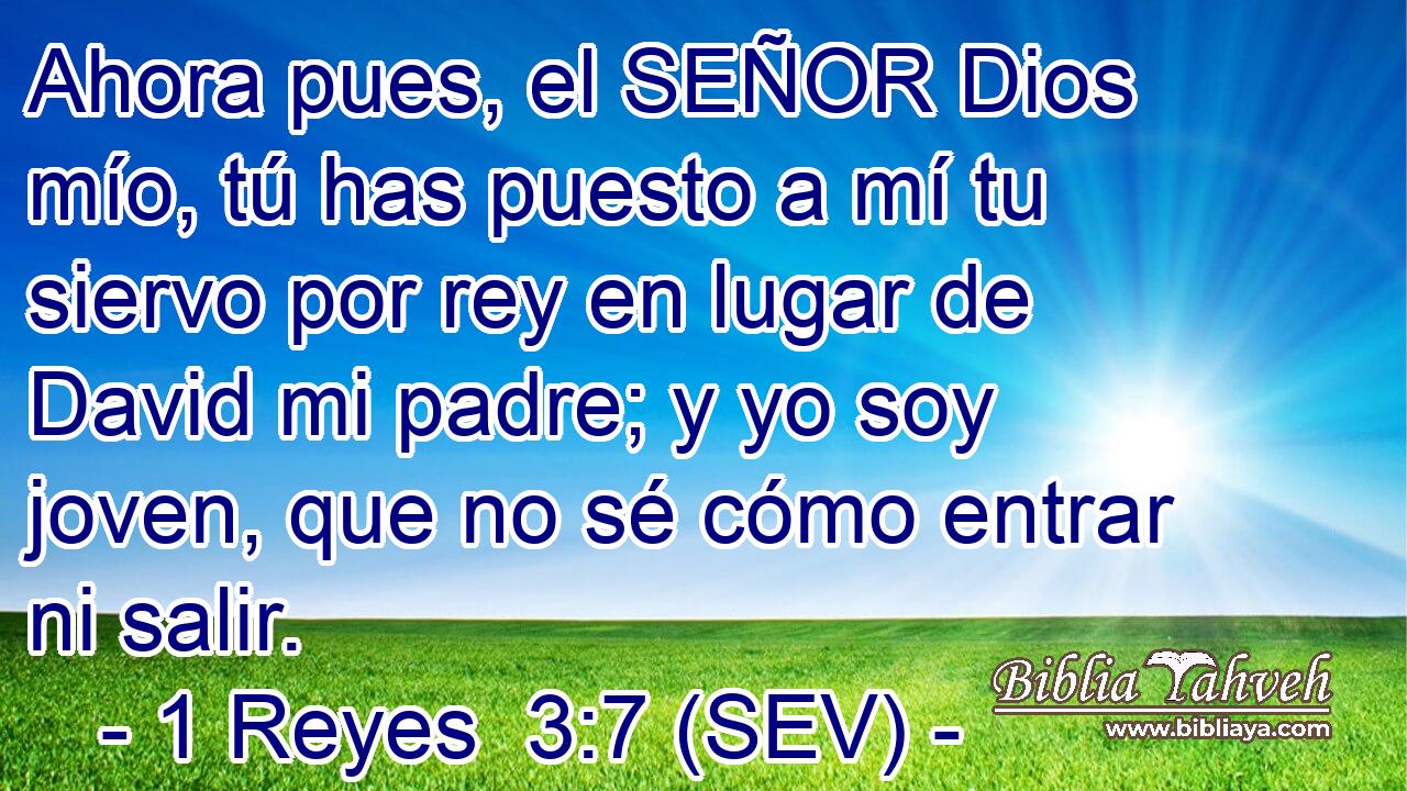 Ahora pues, el SEÑOR Dios mío, tú has puesto a mí tu siervo por rey en lugar de David mi padre; y yo soy joven, que no sé cómo entrar ni salir.