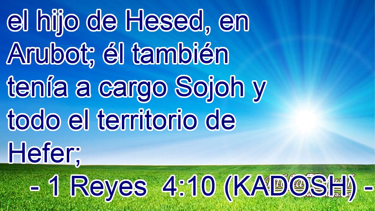  el hijo de Hesed, en Arubot; él también tenía a cargo Sojoh y todo el territorio de Hefer; 
